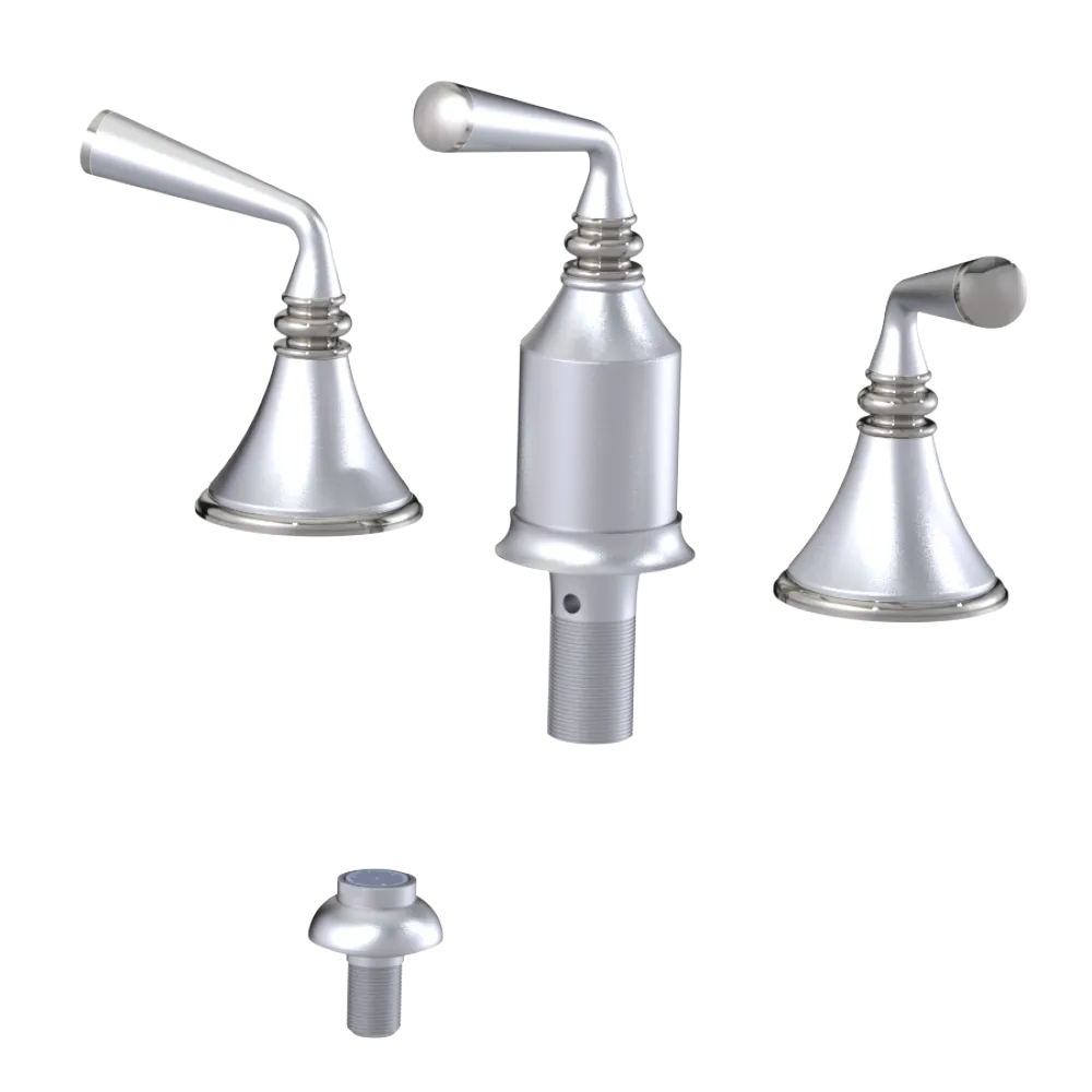 Rubinet Bidet Fitting with Spray, Diverter, and Vacum Breaker (Less Drain) Satin Chrome