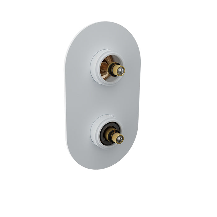 Baril Thermostatic pressure balanced shower valve with 2-way diverter (without handle)