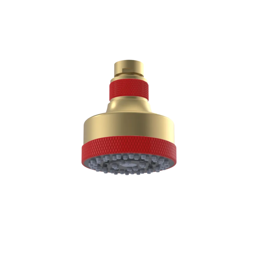 Rubinet 3 FUNCTION SHOWER HEAD Satin Brass
