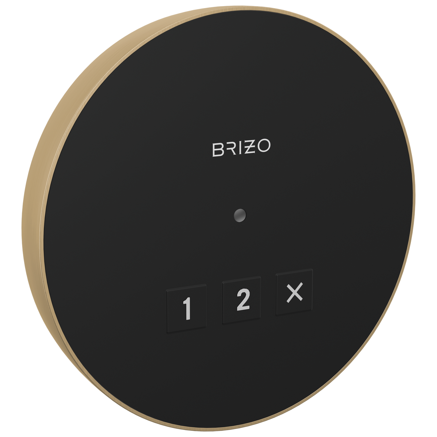 Brizo Round Exterior Control