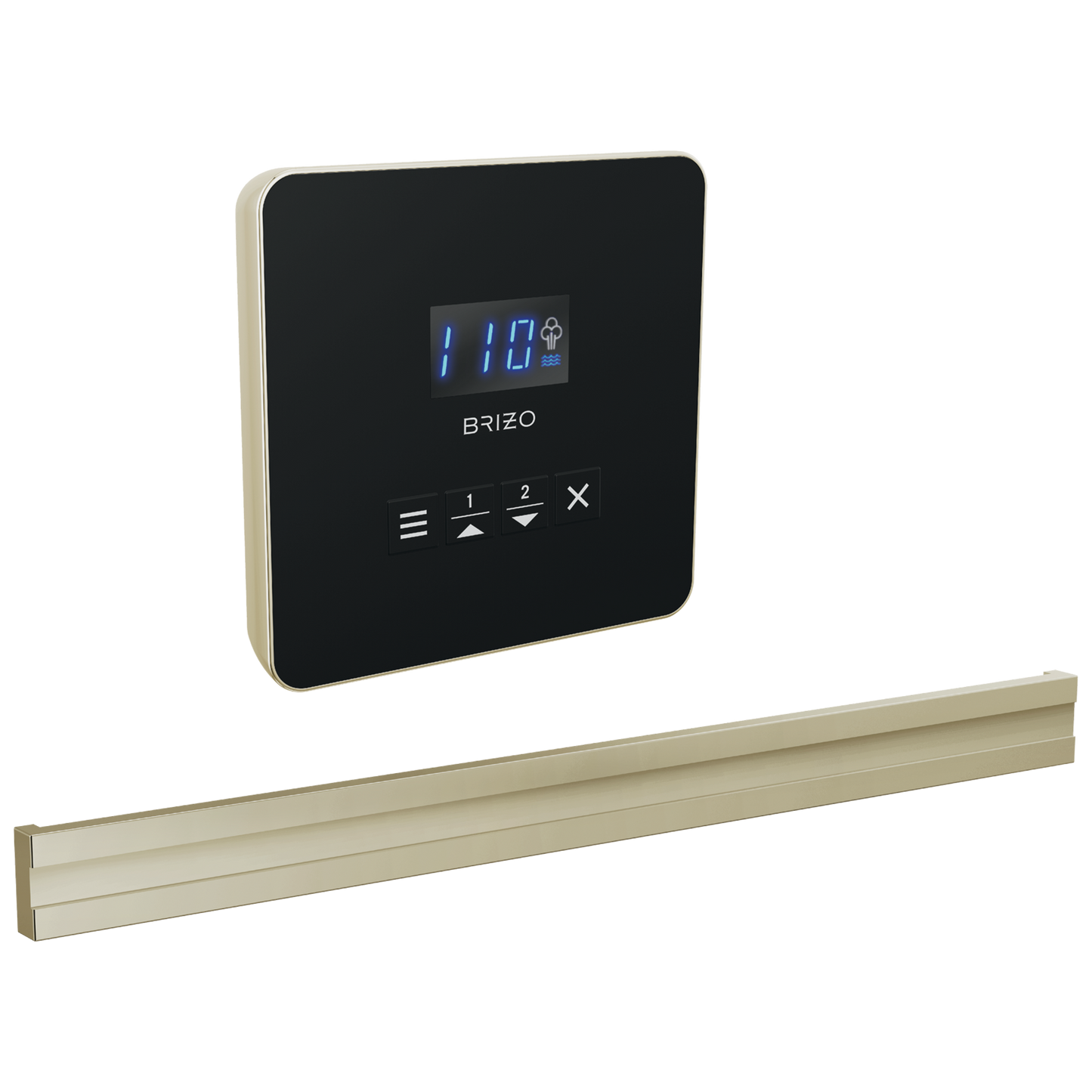 Brizo Square Bilateral Steam Set