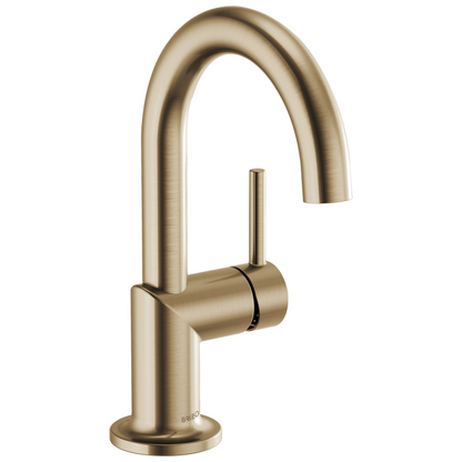 Brizo Single Handle Lavatory Faucet 15 Gpm