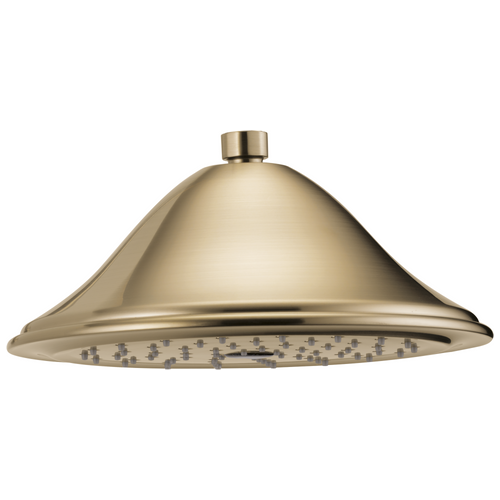 Brizo Round Raincan Showerhead