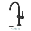 Single hole lavatory faucet with drain