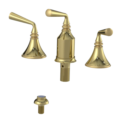 Rubinet Bidet Fitting with Spray, Diverter, and Vacum Breaker (Less Drain) Bright Brass
