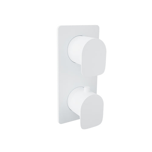 Baril Complete thermostatic pressure balanced shower control valve with 2-way diverter