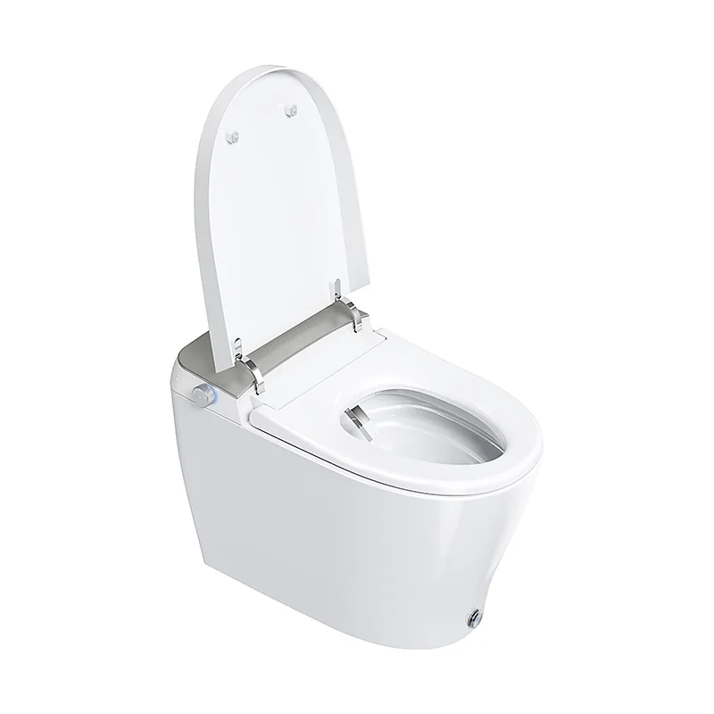 Canluxe Smart Toilet - Golzar Home