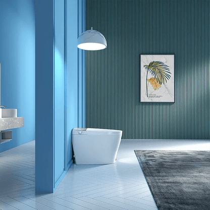 Canluxe Smart Toilet - Golzar Home
