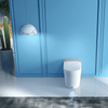 Canluxe Smart Toilet - Golzar Home