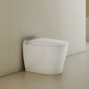 Canpro Smart Toilet - Golzar Home