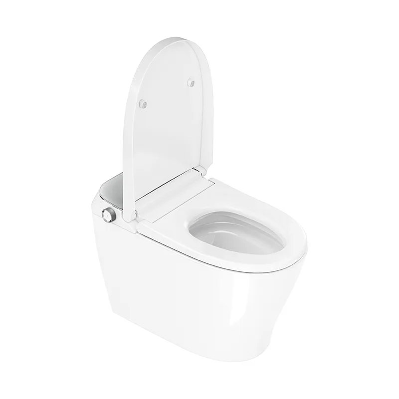 Canpro Smart Toilet - Golzar Home