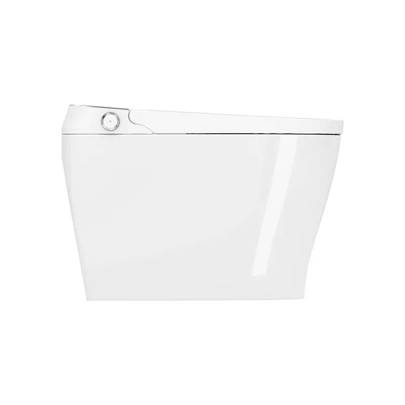 Canpro Smart Toilet - Golzar Home