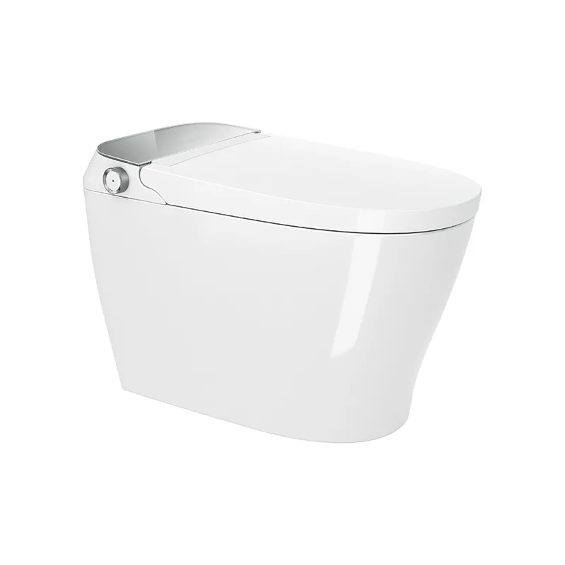 Canpro Smart Toilet - Golzar Home