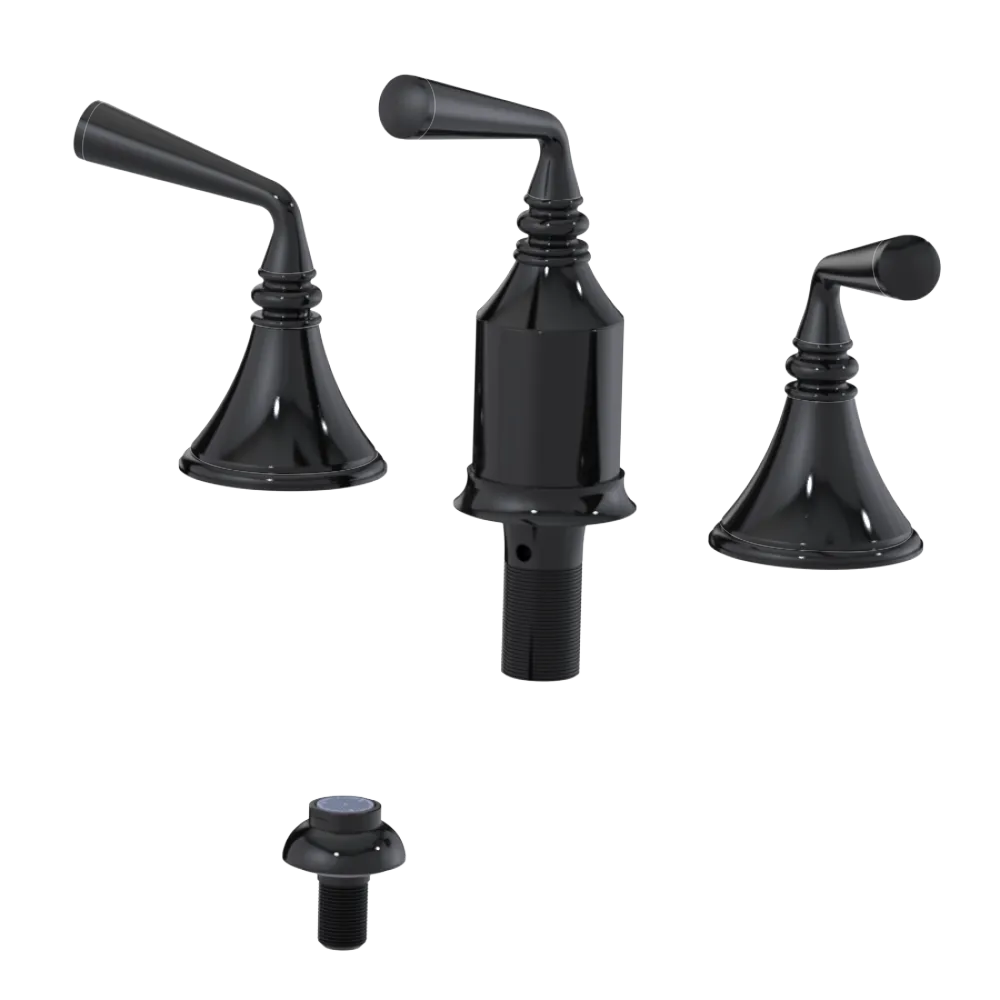 Rubinet Bidet Fitting with Spray, Diverter, and Vacum Breaker (Less Drain) Black