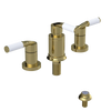 Rubinet Bidet Fitting with Spray, Diverter, and Vacum Breaker (Less Drain) Bright Brass