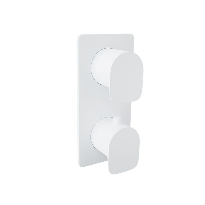 Baril Complete thermostatic pressure balanced shower control valve with 2-way diverter