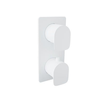 Baril Complete thermostatic pressure balanced shower control valve with 2-way diverter
