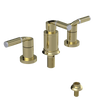 Rubinet Bidet Fitting with Spray, Diverter, and Vacuum Breaker (less drain) Gold