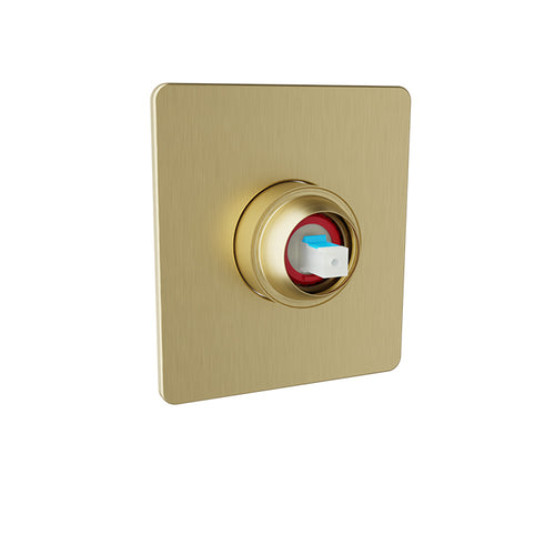 Baril Pressure balanced shower valve (without handle)