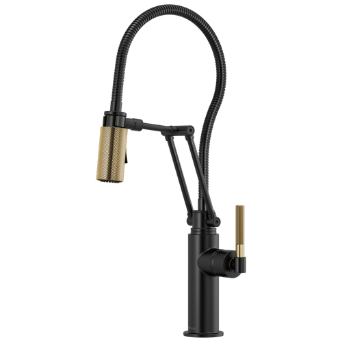 Brizo Articulating Faucet With Finished Hose