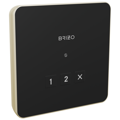 Brizo Square Exterior Control