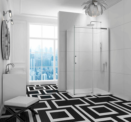 Oceania Eko Shower Door