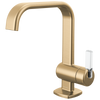 Brizo Single Handle Lavatory Faucet 12 Gpm
