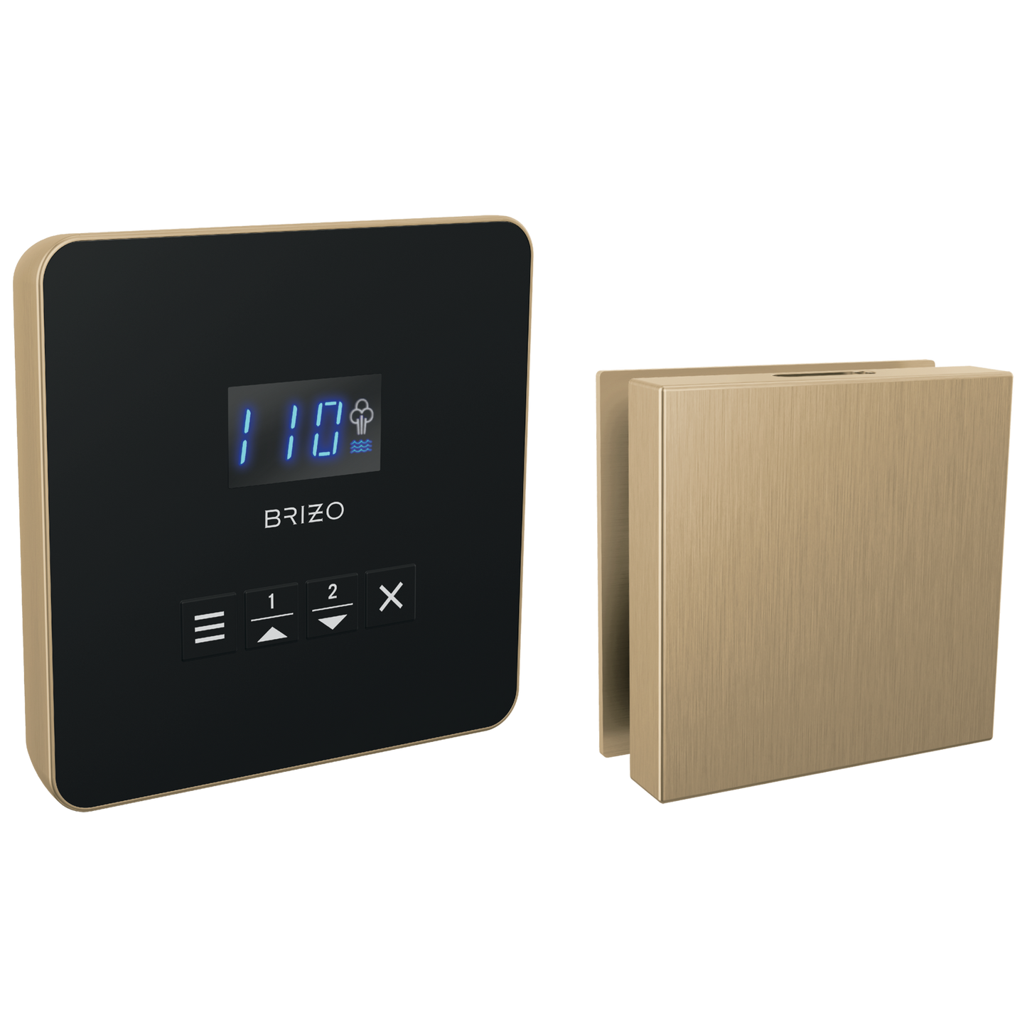Brizo Square Steam Set