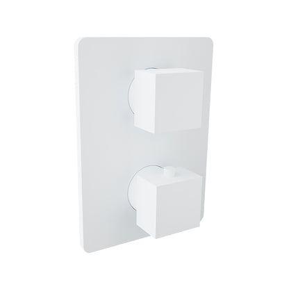 Baril Complete thermostatic pressure balanced shower control valve with 1-way diverter