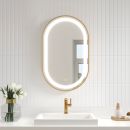 KALIA EFFECTLED-illuminated bathroom mirror - 20" x 32" - Brushed gold