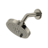 RIOBEL 5" 6-Function Showerhead With Arm