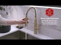 Bruton 1-Handle Culinary Pull-Down Kitchen Faucet 1-Handle Culinary Pull-Down Kitchen Faucet