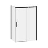 Kalia VIVIO 60” x 32” x 75” sliding shower door – DR1478-150-003/DR1567