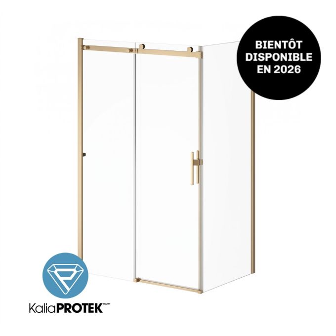 Kalia Koncept EVO With Return Panel - KP Protective Film Reversible 60 x 77-Inch Sliding Shower Door