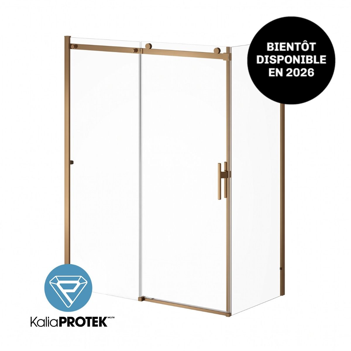 Kalia KONCEPT EVO Sliding Shower door 60” x 77” with 32" return panel - KP protective film (Reversible) – DR2131-185-005/DR2132-005/DR2052-185-005