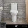DXV Equility® One-Piece Dual Flush Chair Height Elongated Toilet with Seat – Canvas White