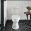 DXV Oak Hill® Toilet Tank Only with Pull Knob – Canvas White