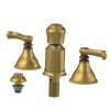 Rubinet Bidet Fitting with Spray, Diverter, and Vacum Breaker (Less Drain) Antique Brass Matt