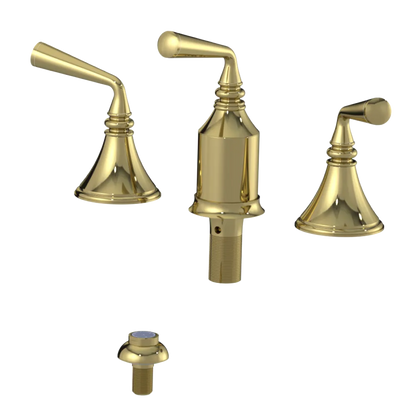 Rubinet Bidet Fitting with Spray, Diverter, and Vacum Breaker (Less Drain) Natural Brass