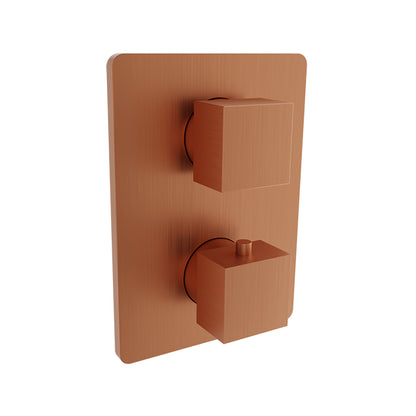 Baril Complete thermostatic pressure balanced shower control valve with 2-way diverter