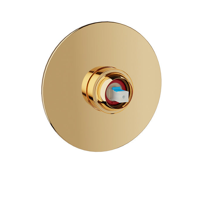 Baril Pressure balanced shower valve (without handle)