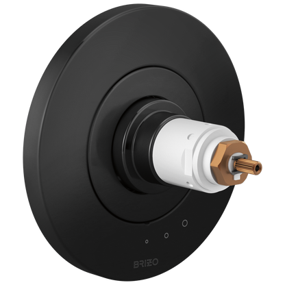 Brizo Tempassure Thermostatic Valve Only Trim Less Handles