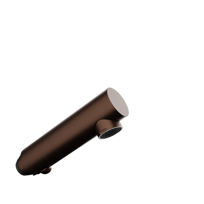 Baril Brass 2-spray hand shower