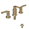Rubinet Bidet Fitting with Spray, Diverter, and Vacum Breaker (Less Drain) Gold