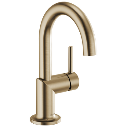 Brizo Single Handle Lavatory Faucet 12 Gpm