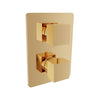 Baril Complete thermostatic pressure balanced shower control valve with 2-way diverter