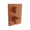 Baril Complete thermostatic pressure balanced shower control valve with 1-way diverter