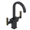 Rubinet Single Hole Dual Handle Lav. Set. (less drain) Black