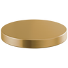 Brizo Hole Cover