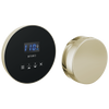 Brizo Round Steam Set